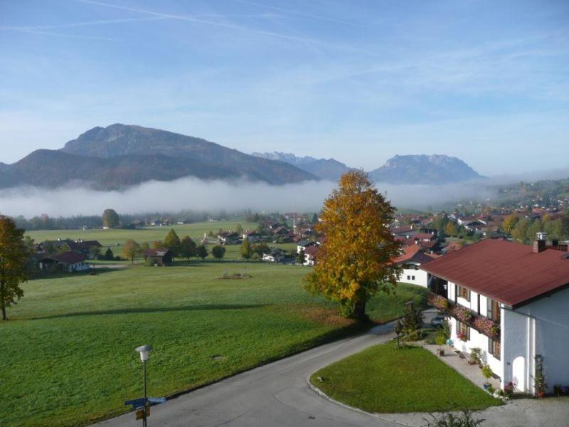 Hotel Haus Elfriede à Reit im Winkl Extérieur photo